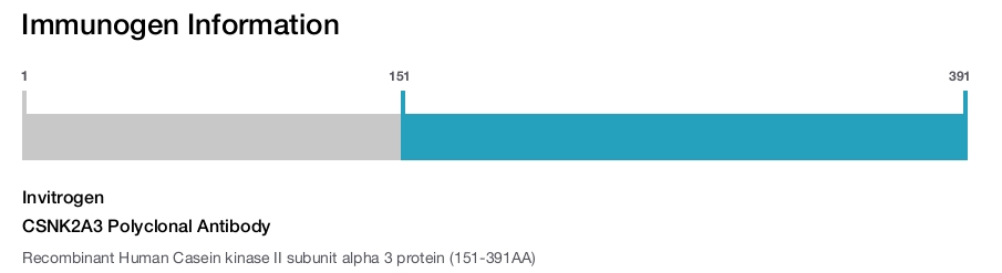CSNK2A3 Polyclonal Antibody