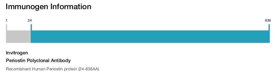 Periostin Polyclonal Antibody