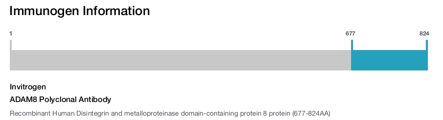 ADAM8 Polyclonal Antibody