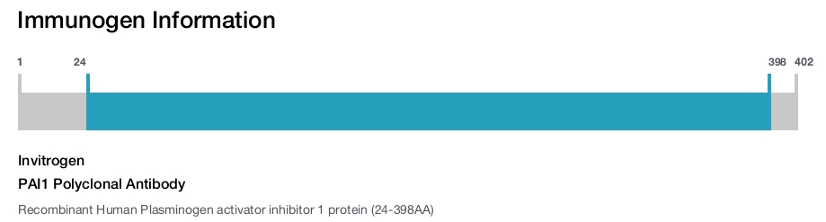 PAI1 Polyclonal Antibody