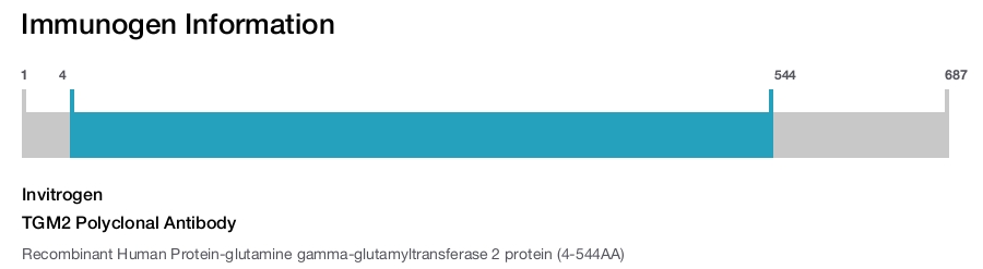TGM2 Polyclonal Antibody