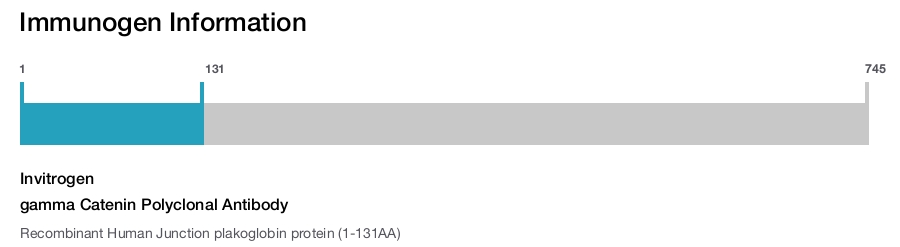 gamma Catenin Polyclonal Antibody