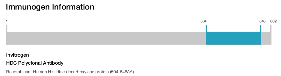 HDC Polyclonal Antibody