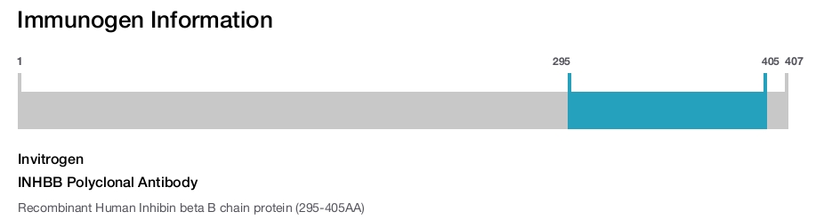 INHBB Polyclonal Antibody