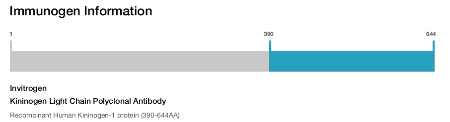 Kininogen Light Chain Polyclonal Antibody