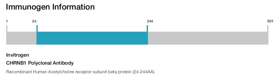 CHRNB1 Polyclonal Antibody