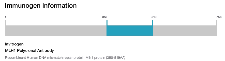 MLH1 Polyclonal Antibody