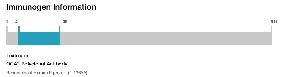 OCA2 Polyclonal Antibody