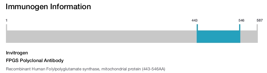 FPGS Polyclonal Antibody