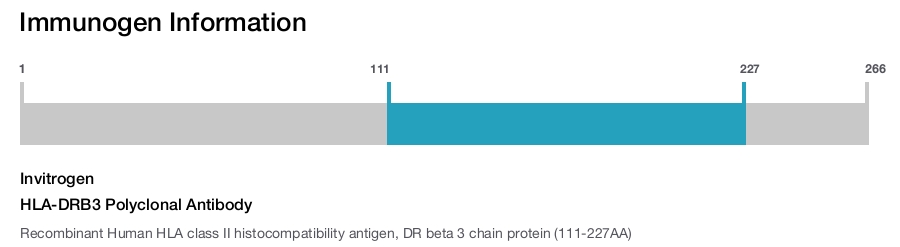 HLA-DRB3 Polyclonal Antibody