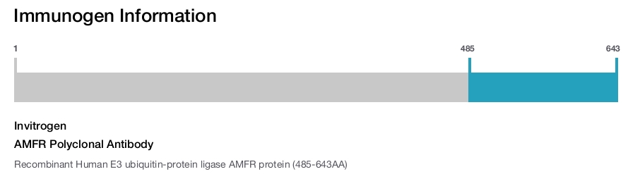 AMFR Polyclonal Antibody