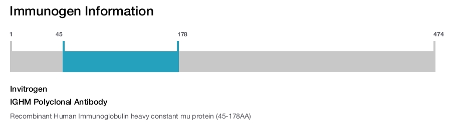 IGHM Polyclonal Antibody