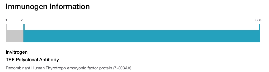TEF Polyclonal Antibody