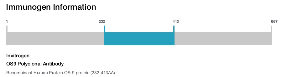 OS9 Polyclonal Antibody