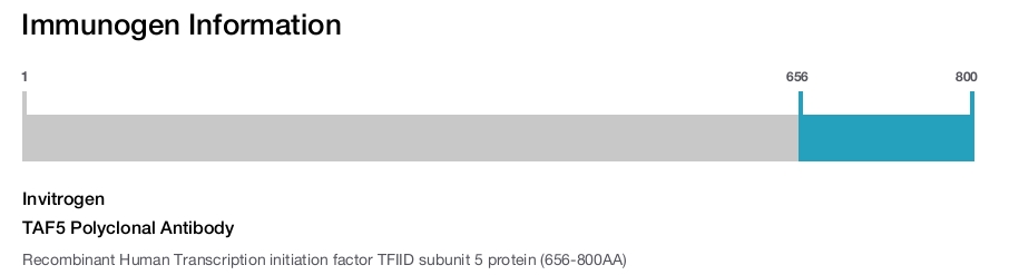 TAF5 Polyclonal Antibody
