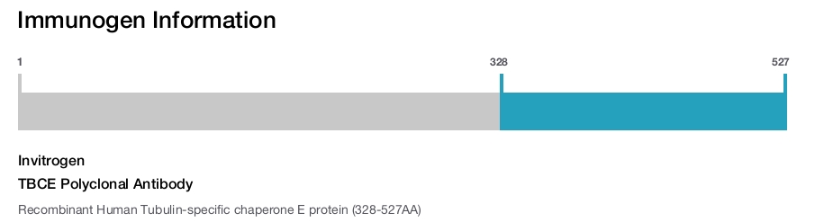 TBCE Polyclonal Antibody