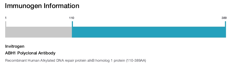 ABH1 Polyclonal Antibody