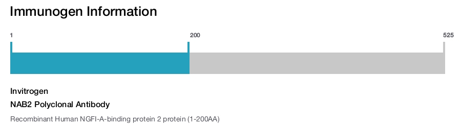 NAB2 Polyclonal Antibody