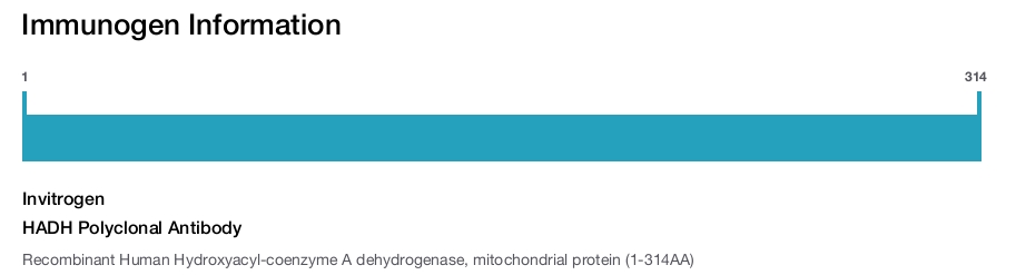 HADH Polyclonal Antibody