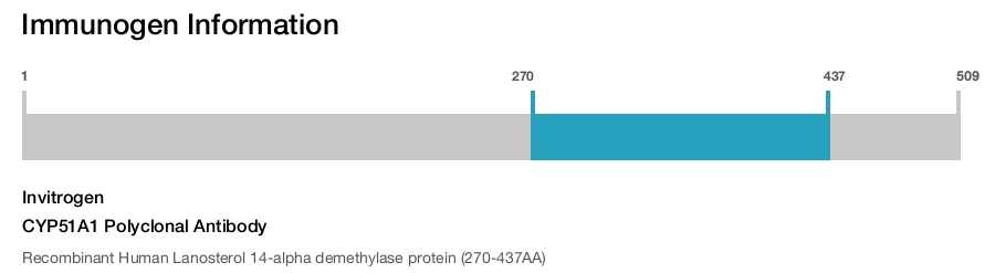 CYP51A1 Polyclonal Antibody