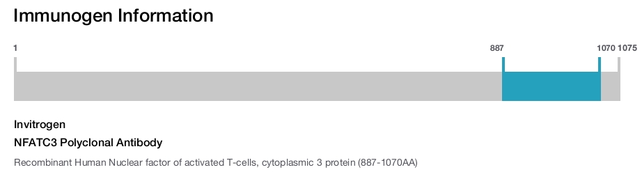 NFATC3 Polyclonal Antibody