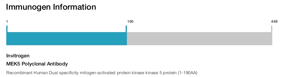 MEK5 Polyclonal Antibody