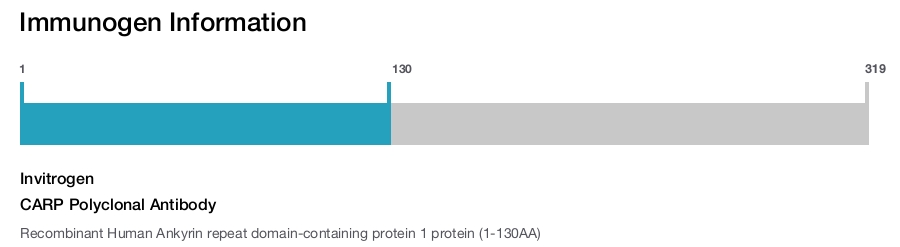 CARP Polyclonal Antibody