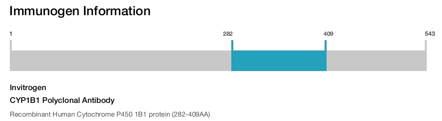 CYP1B1 Polyclonal Antibody