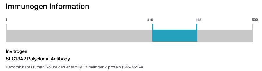 SLC13A2 Polyclonal Antibody