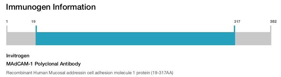 MAdCAM-1 Polyclonal Antibody