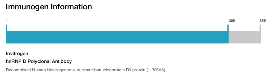 hnRNP D Polyclonal Antibody