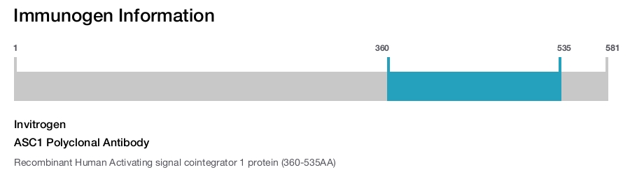 ASC1 Polyclonal Antibody