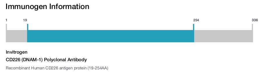 CD226 (DNAM-1) Polyclonal Antibody