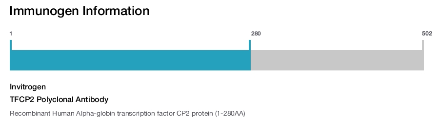TFCP2 Polyclonal Antibody