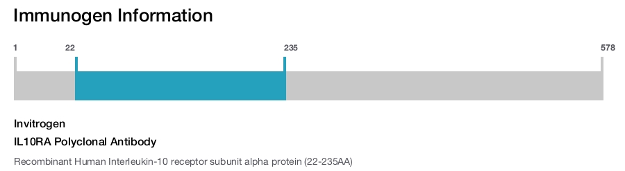IL10RA Polyclonal Antibody