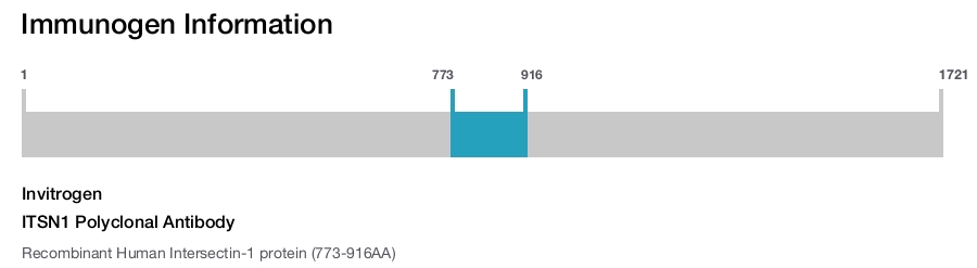 ITSN1 Polyclonal Antibody