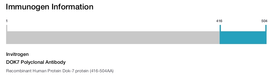 DOK7 Polyclonal Antibody