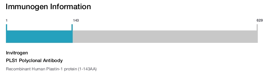 PLS1 Polyclonal Antibody