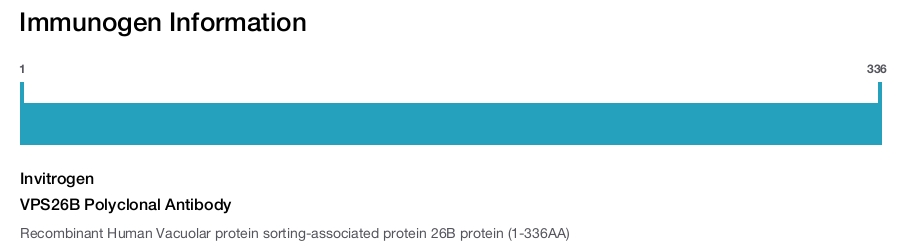 VPS26B Polyclonal Antibody