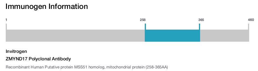 ZMYND17 Polyclonal Antibody