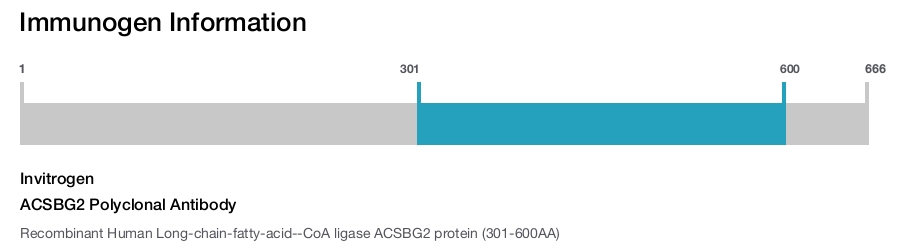ACSBG2 Polyclonal Antibody