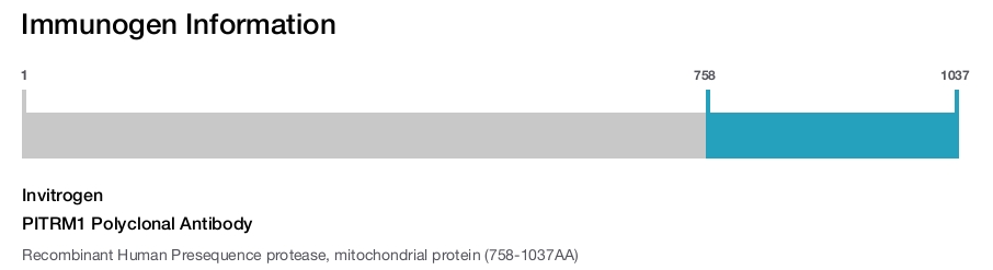 PITRM1 Polyclonal Antibody