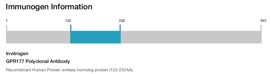 GPR177 Polyclonal Antibody