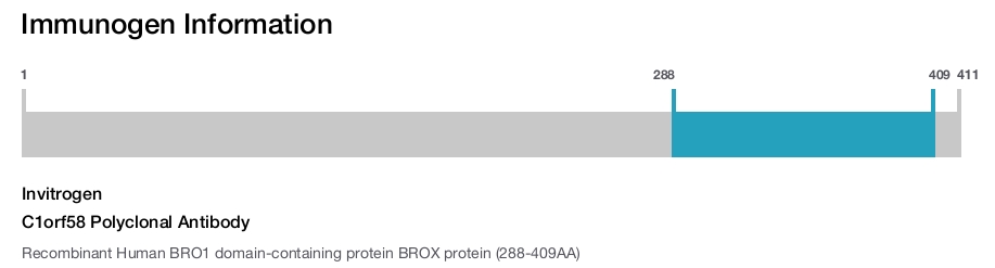 C1orf58 Polyclonal Antibody