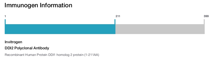 DDI2 Polyclonal Antibody