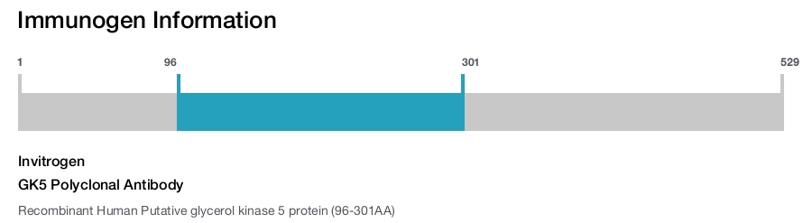 GK5 Polyclonal Antibody