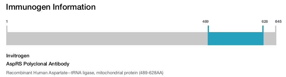 AspRS Polyclonal Antibody