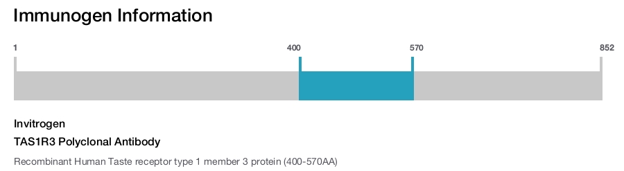 TAS1R3 Polyclonal Antibody
