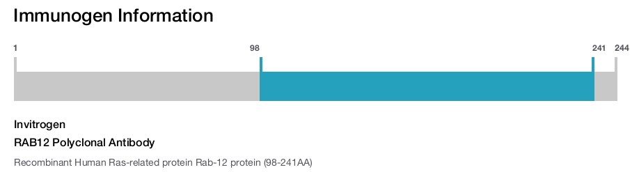 RAB12 Polyclonal Antibody