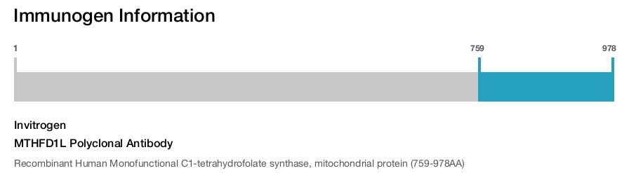 MTHFD1L Polyclonal Antibody